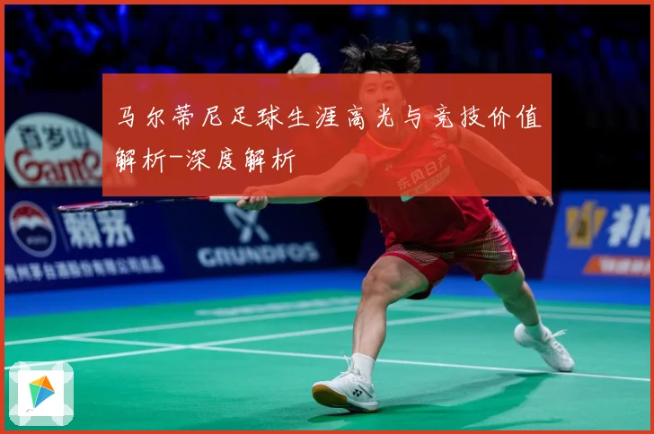 马尔蒂尼足球生涯高光与竞技价值解析-深度解析