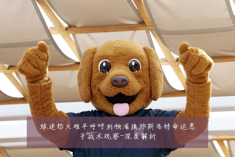 球迷怒火难平呼吁利物浦换帅斯洛特命运悬乎战术观察-深度解析